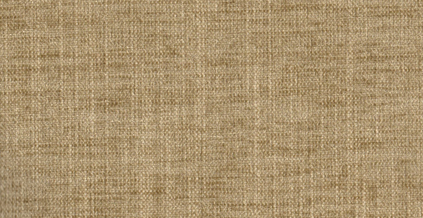 AP/Essential 10/102906 Regale moth/18455