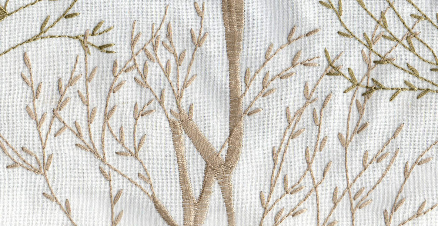 Olive /17804/17424