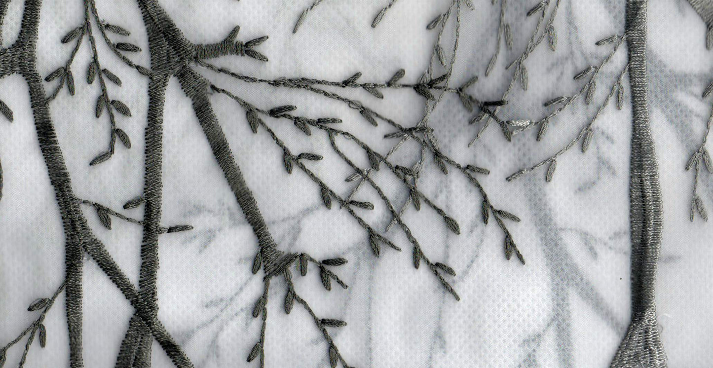 Olive /17857/17424