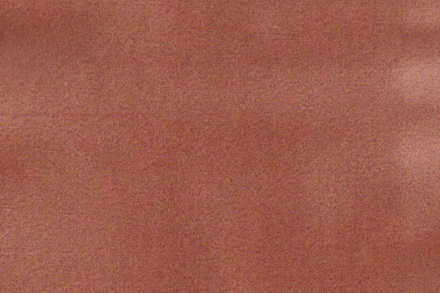 AP-ESSENTIALS 40/BAKSHI APRICOT 112354