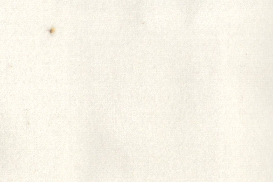 AP-ESSENTIALS 40/BAKSHI DAISY 112207