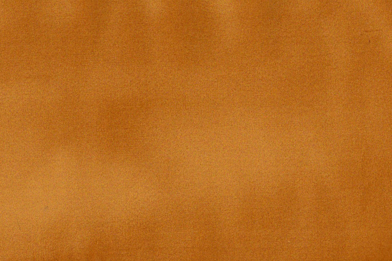 AP-ESSENTIALS 40/BAKSHI HONEY 112286