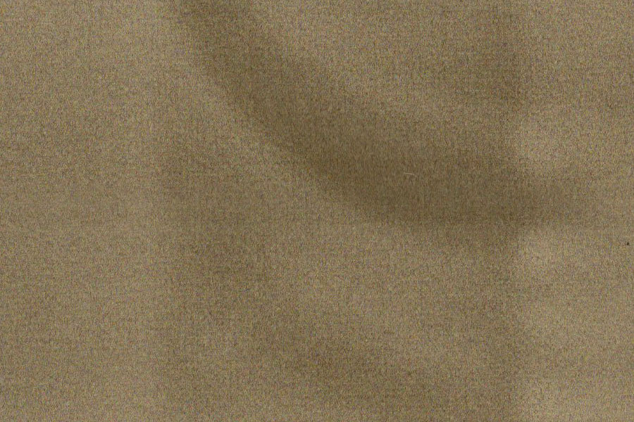 AP-ESSENTIALS 40/BAKSHI MILLET 112227