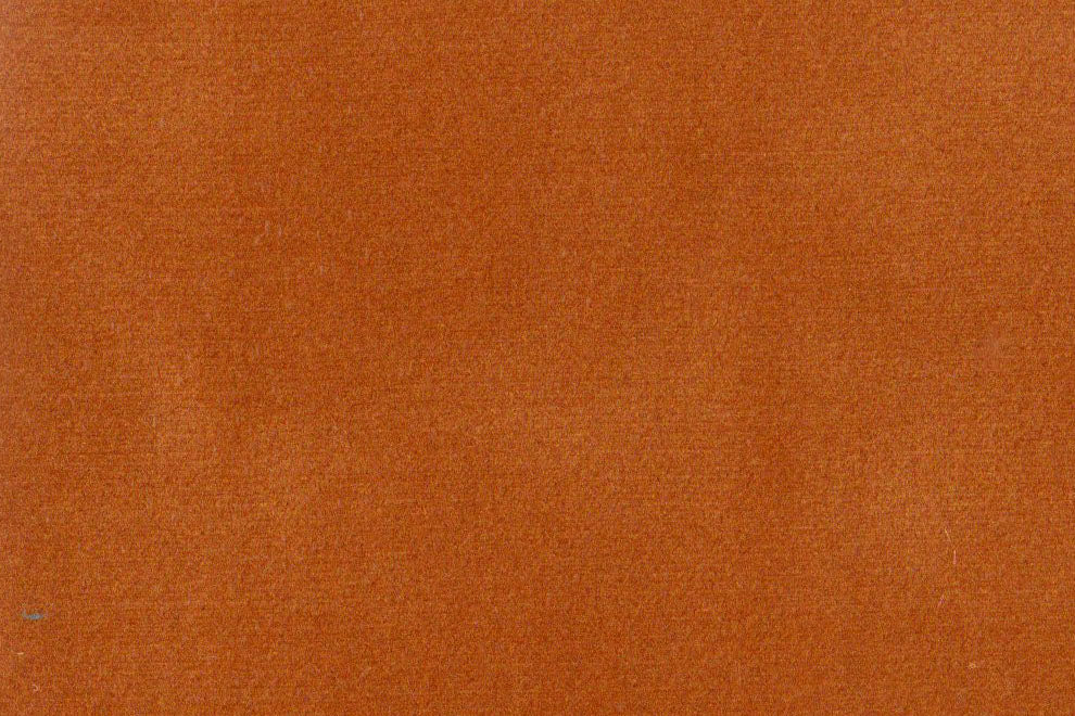 AP-ESSENTIALS 40/BAKSHI PUMPKIN 112275