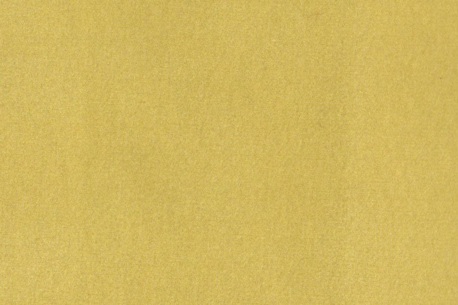 AP-ESSENTIALS 40/BAKSHI SUNFLOWER 112364