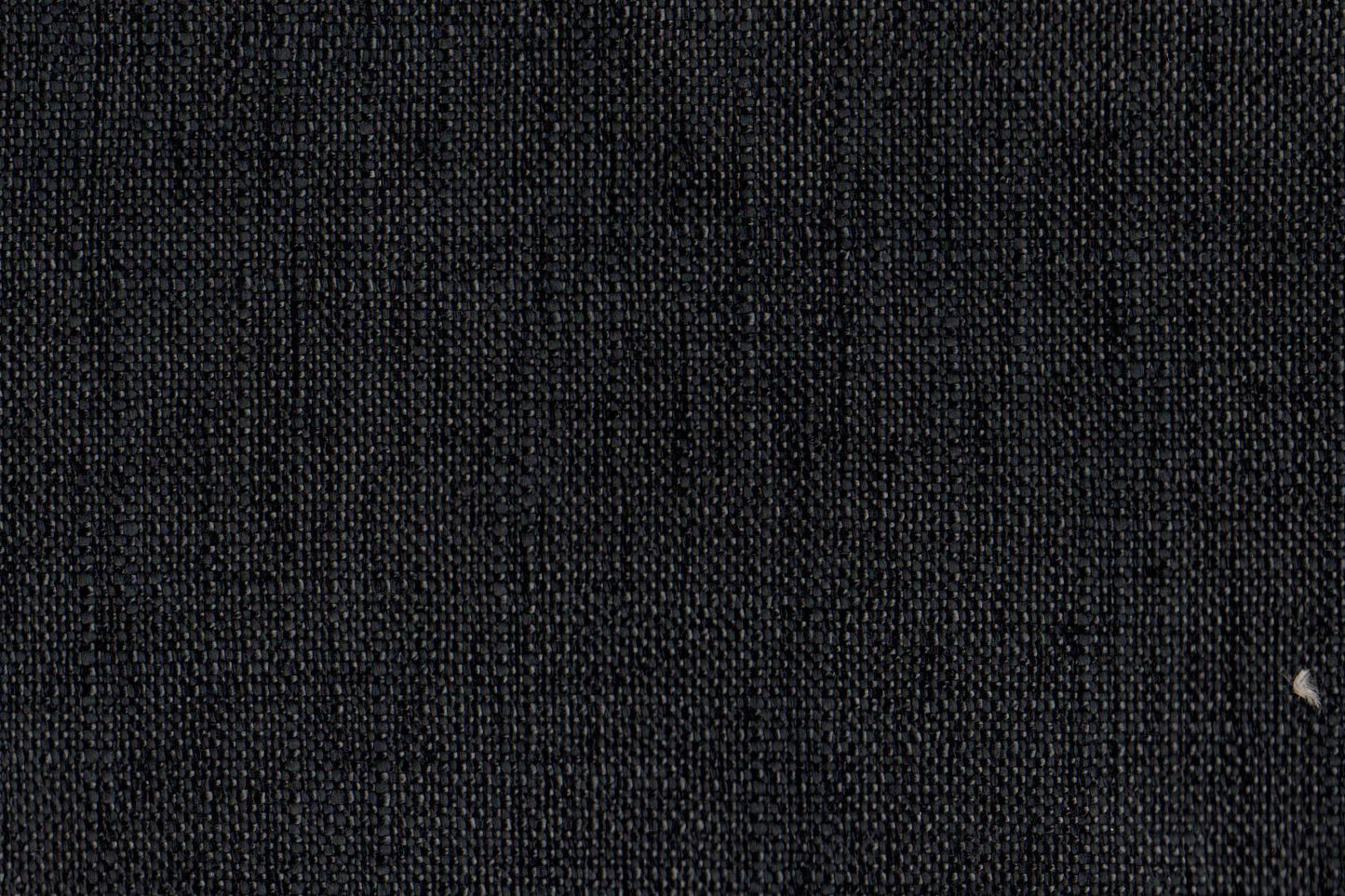 AP-Carmichael / Cam0039