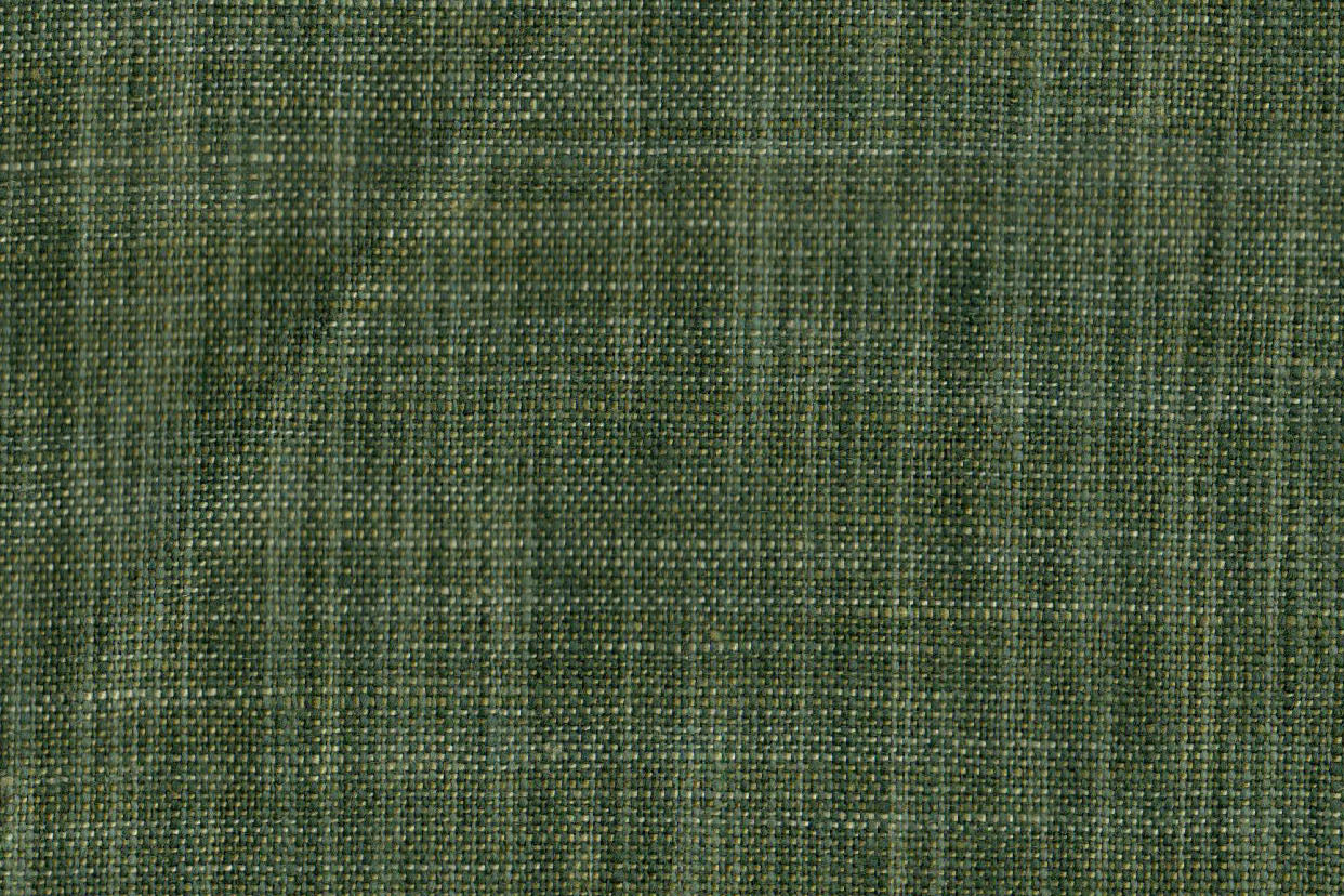 AP-CONCEPT ESSENTIALS 5/KATAN 1182 FOREST