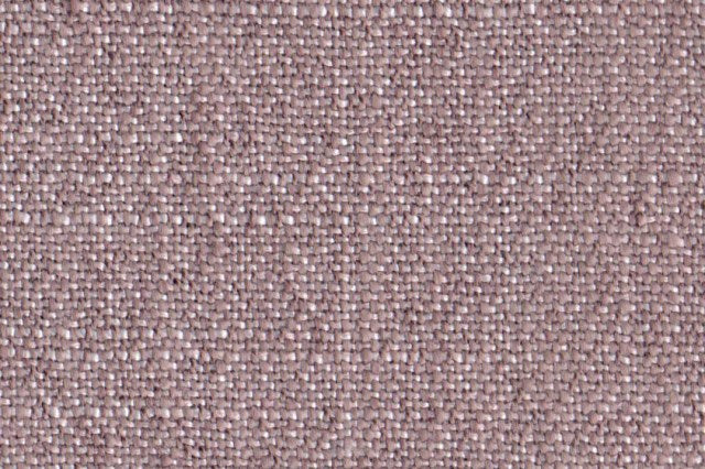 AP-Cosmo/Norman Ash Rose 111319