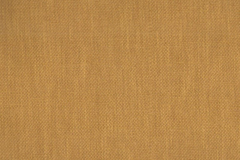 AP-Essentials 32 Noville/Noville Turmeric 110220