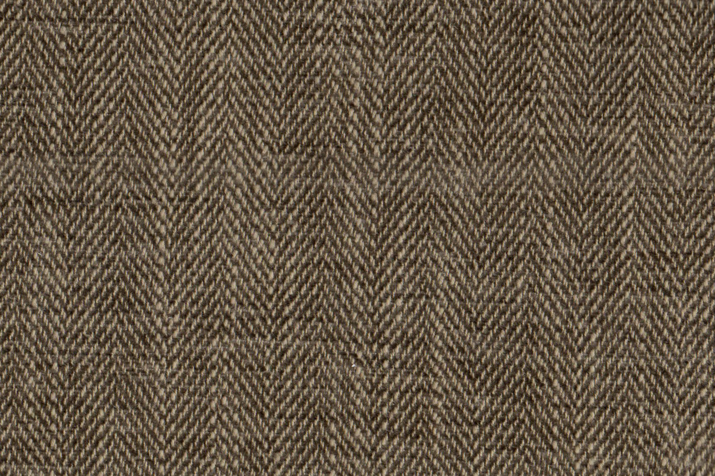 AP-Essentials 9 / Duke Barley 102705