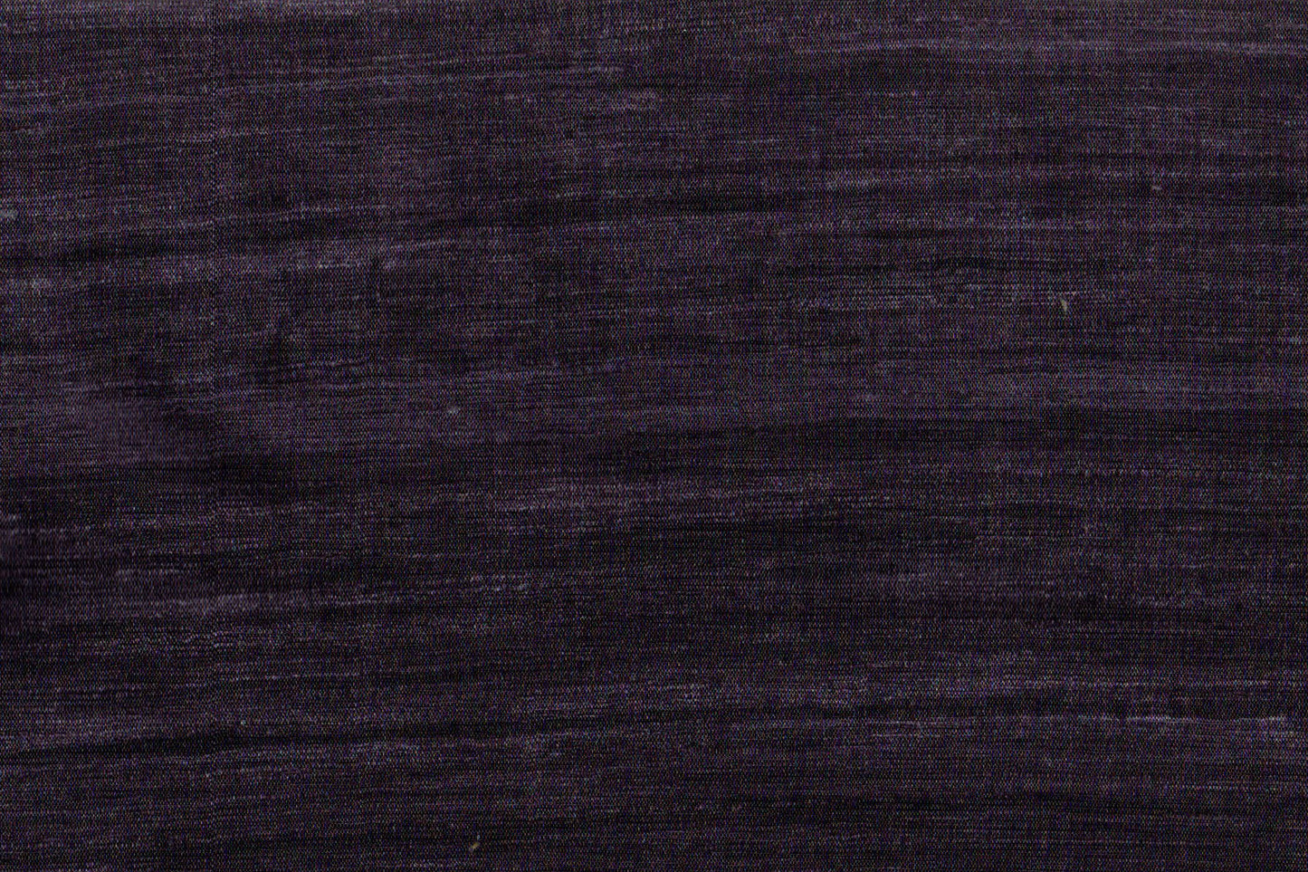 AP-Essentials 41/Sutra chicory 113958