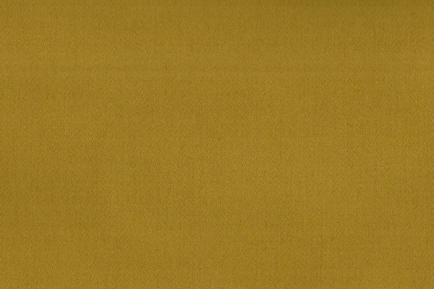 AP-ESSENTIALS 39 AIROLI/AIROLI MUSTARD 113715