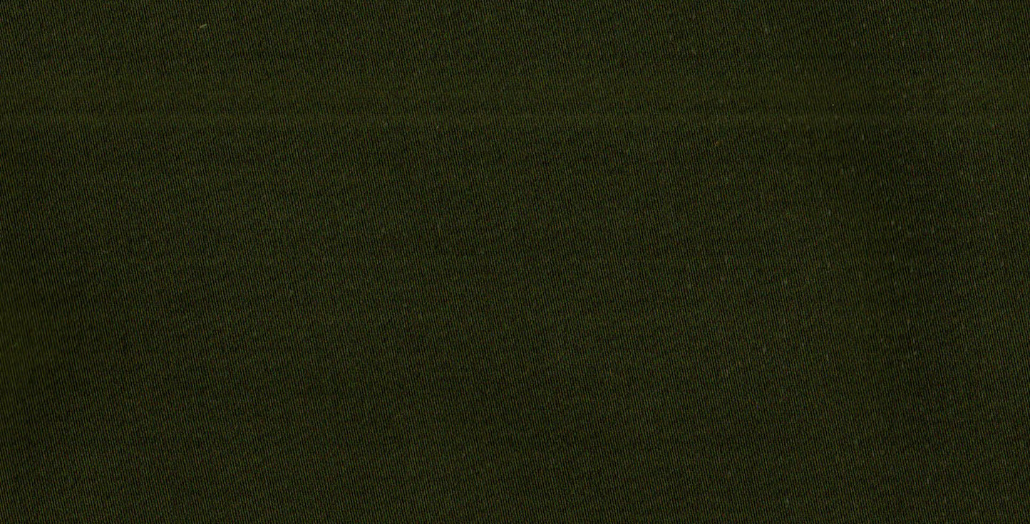 AP-ESSENTIALS 39 AIROLI/AIROLI ARMY 113749