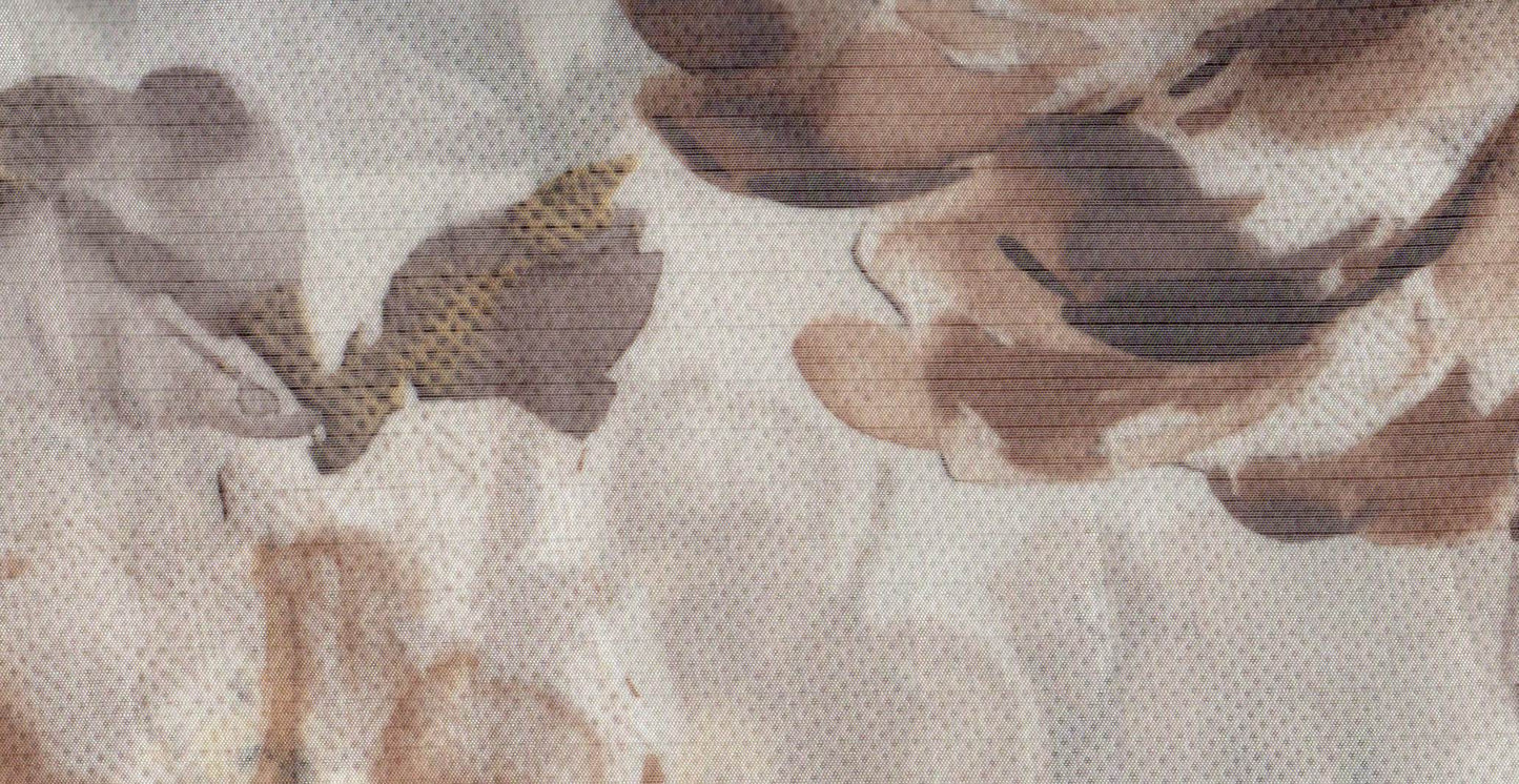 Canvas /20817/18595