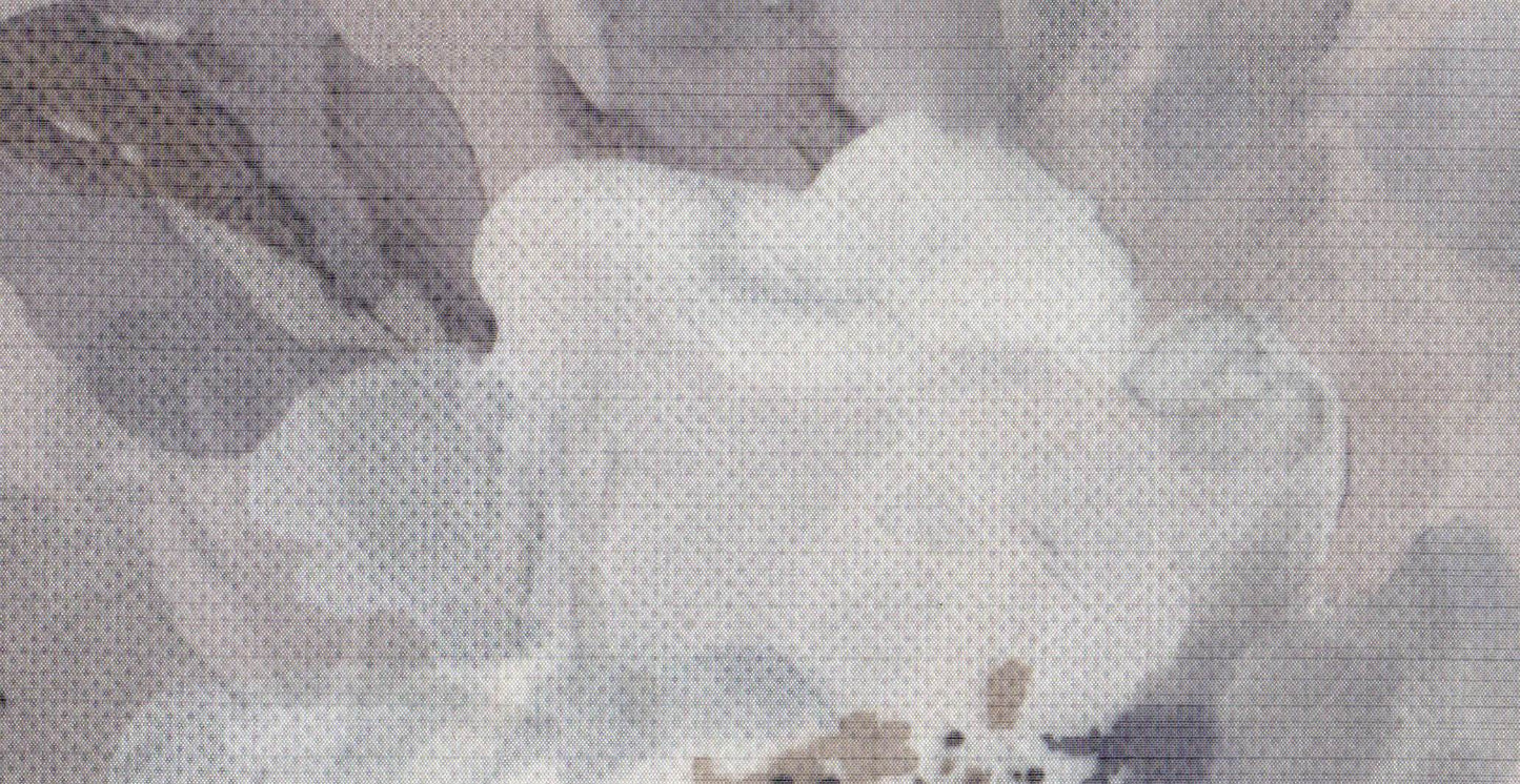 Canvas /20823/18595