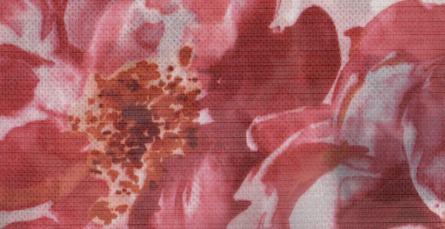 Canvas /20829/18595