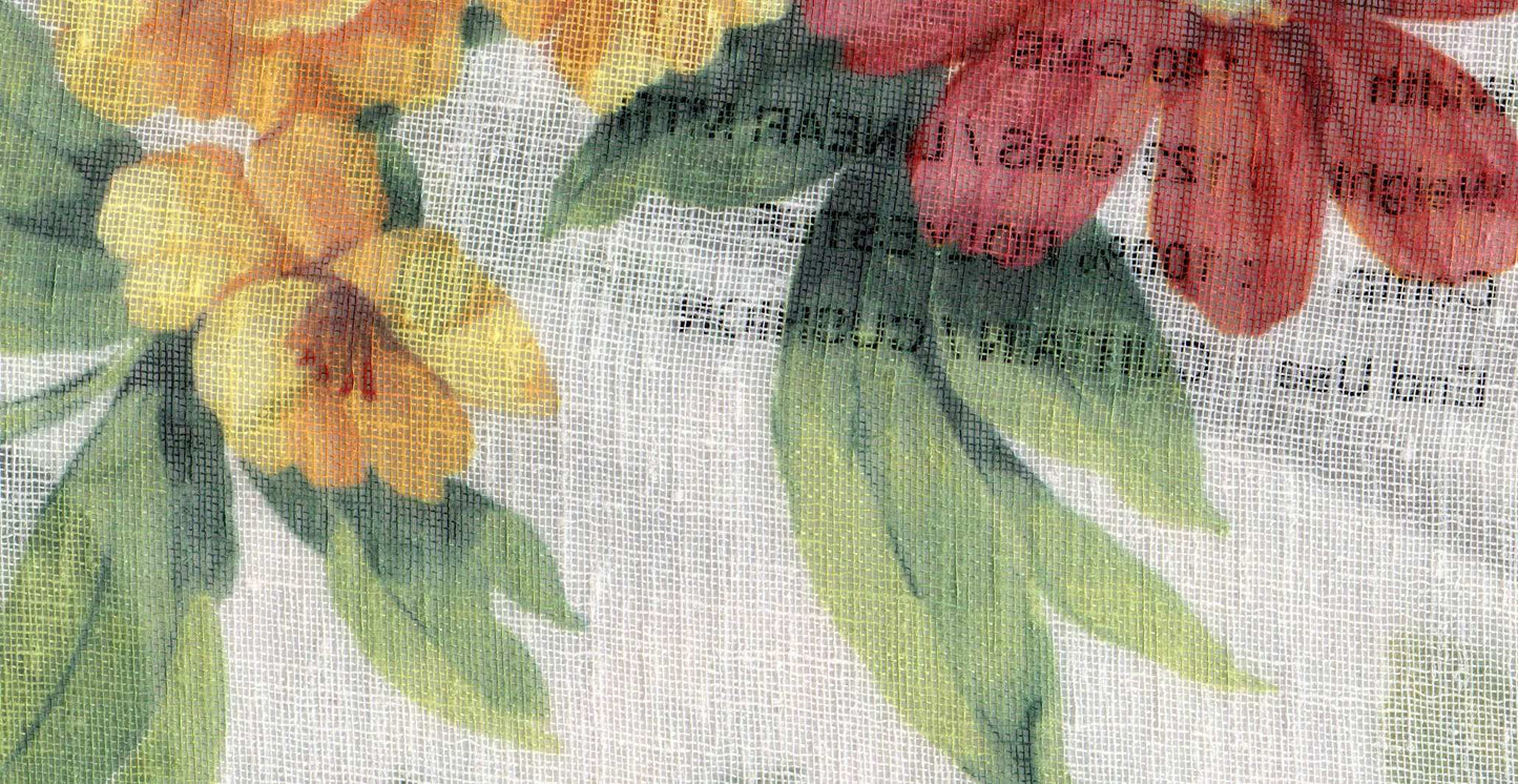Mimosa /17905/17252