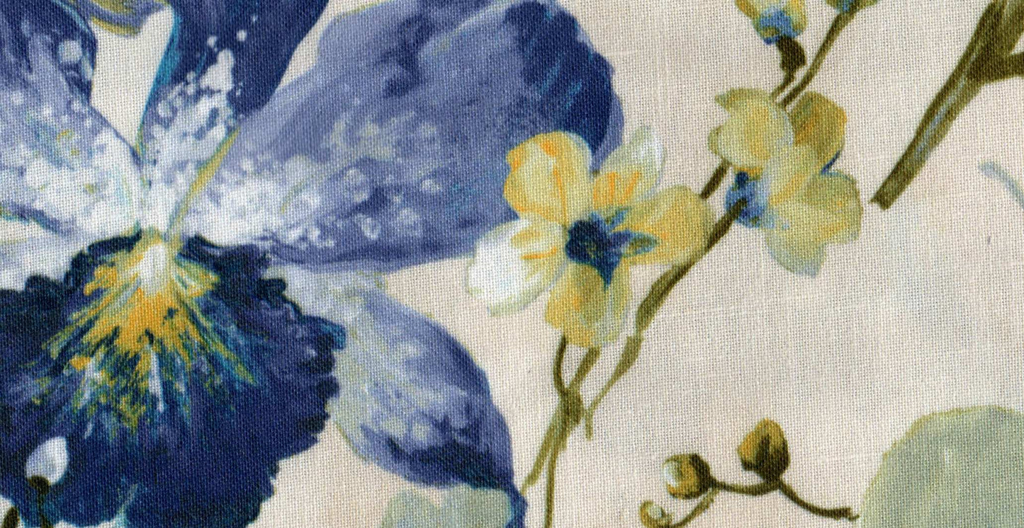 Mimosa /17912/17252