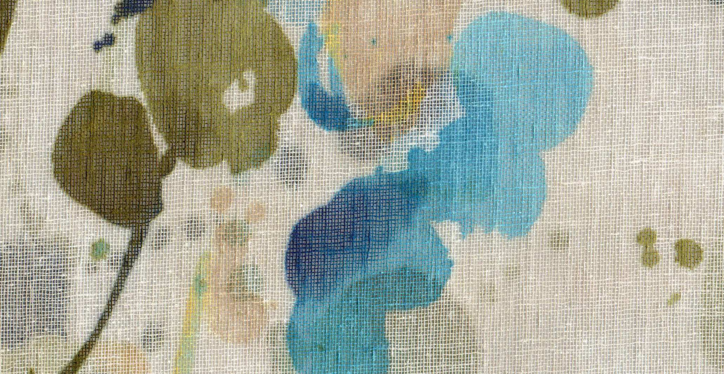 Mimosa /17913/17252