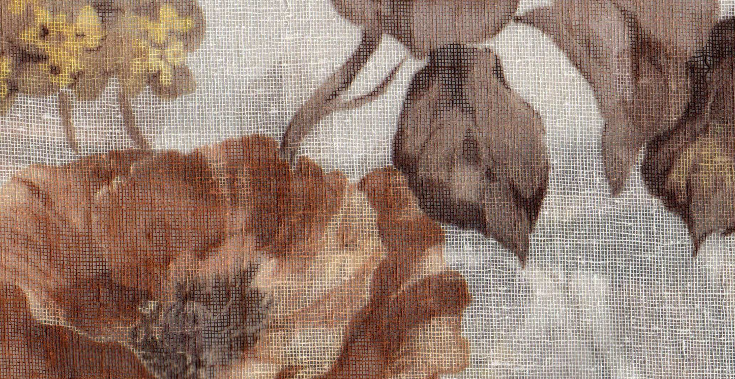 Mimosa /17923/17252