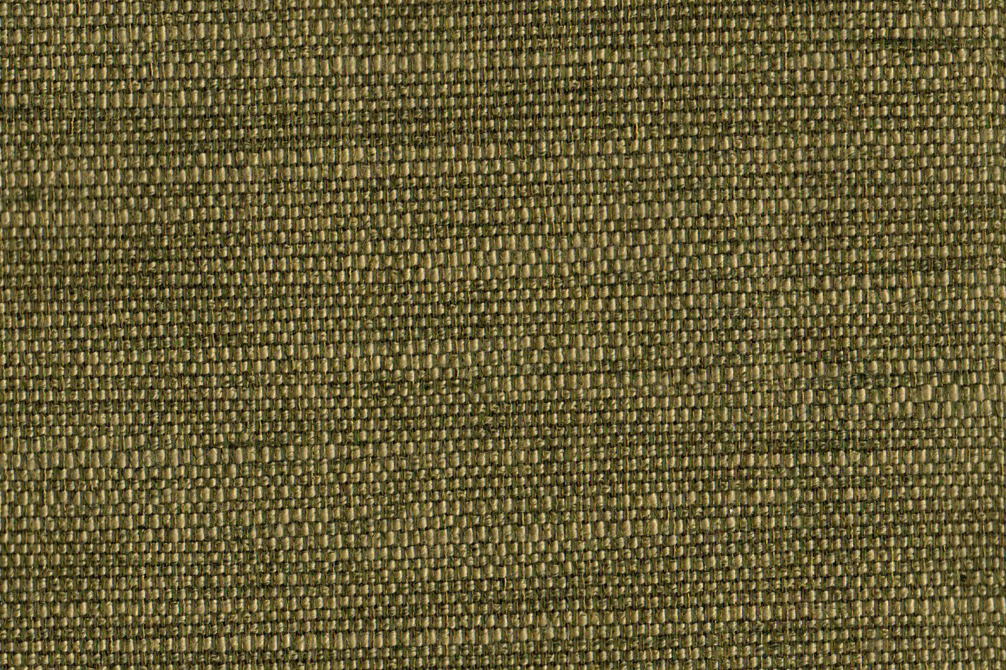 AP-EKAYA/MOLELA MOSS 111112