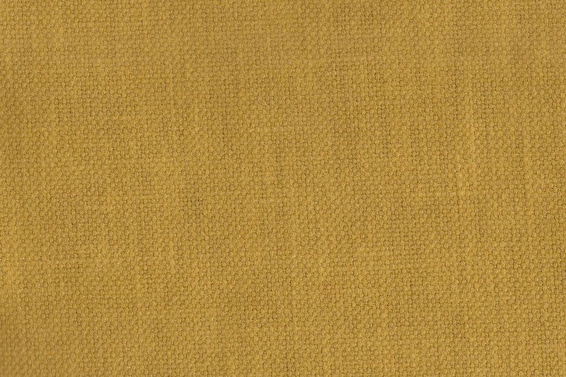 AP-Essentials 32 Noville/Noville Ochre 110219