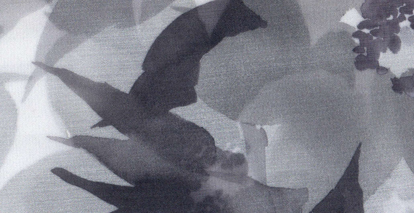 Orchid /10545/15670