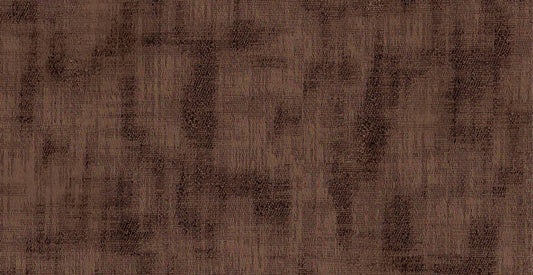 AP/Essential 7/102013 solaco Fossil/18453