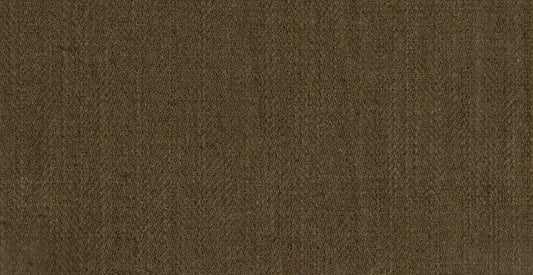 AP/Essential 6/102119 Pallio winter twig/18454