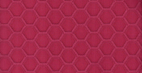 AP/Flora/103204 Anther magenta/18458