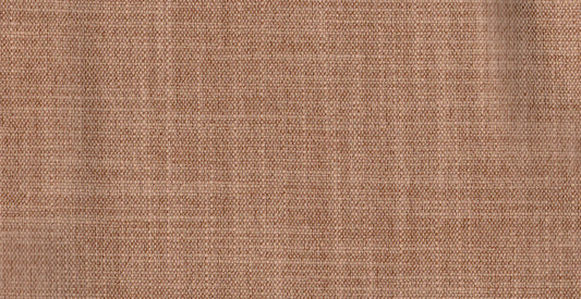 AP/Essentials 21/106901 Cliffon rose/19522