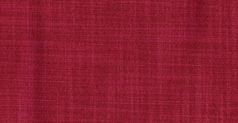 AP/Essentials 21/106916 Cliffon tulip/19522