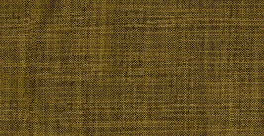 AP/Essentials 21/106934 Cliffon olive/19522