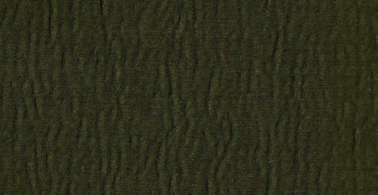 AP/Regina/107023 crisoin army