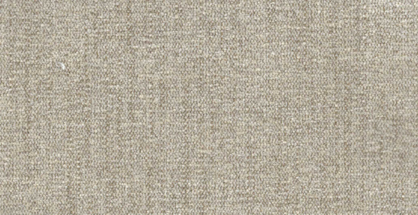 AP/Essentials 23/107108 Autumn oyster/19526