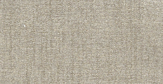 AP/Essentials 23/107108 Autumn oyster/19526