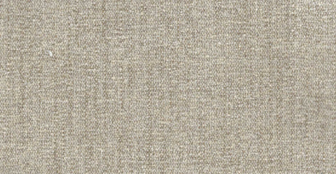 AP/Essentials 23/107108 Autumn oyster/19526