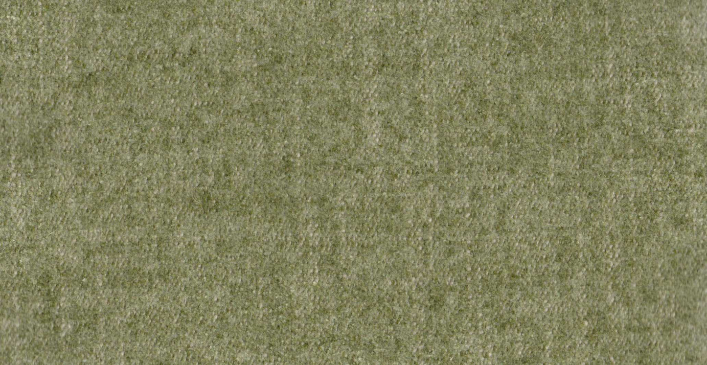 AP/Essentials 23/107124 Autumn sage/19526