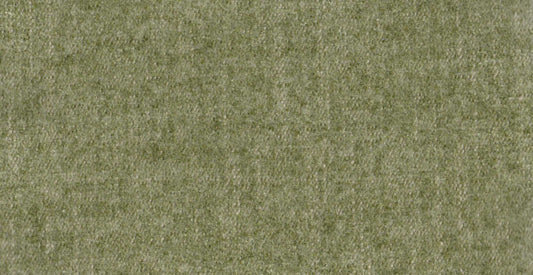 AP/Essentials 23/107124 Autumn sage/19526