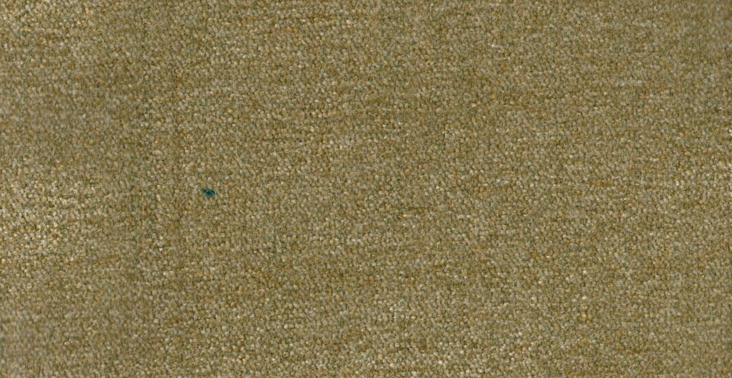 AP/Essentials 23/107126 Autumn moss/19526