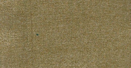 AP/Essentials 23/107126 Autumn moss/19526