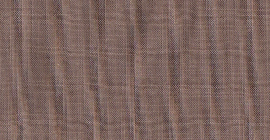 AP/Essentials 24/107447 chint blue aster/19523