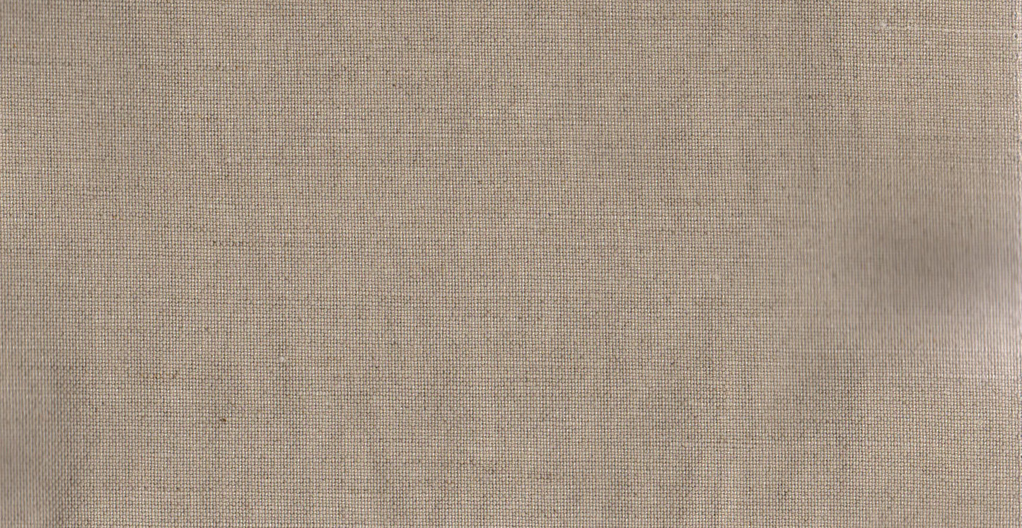 AP/Vivanta/107459 Alton Eggplant/19521