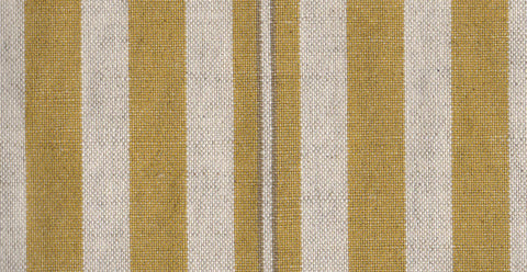 AP/Orlando/108414 Tyrell corn/19633