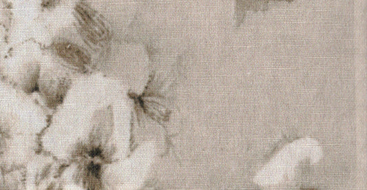 AP/Orlando/108421 constance Parchment/19633