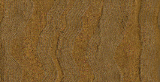 AP/Mondo III/108601 Nevis Mustard