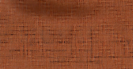 AP/Vivanta/108701 Mazley carrot/19520