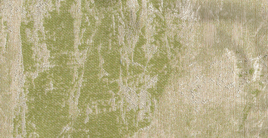 AP/Regina/108901 Alecto moss