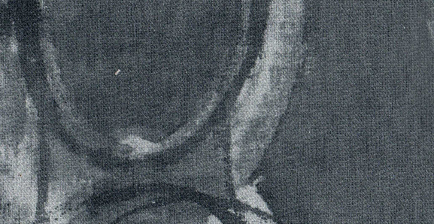 AP/Madrid/109115 fenton charcoal/19978