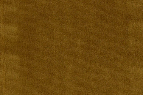 Taksh/109412 Valerio Mustard